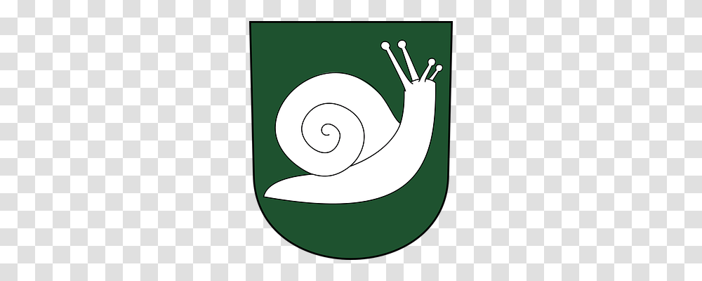 Snail Invertebrate, Animal Transparent Png