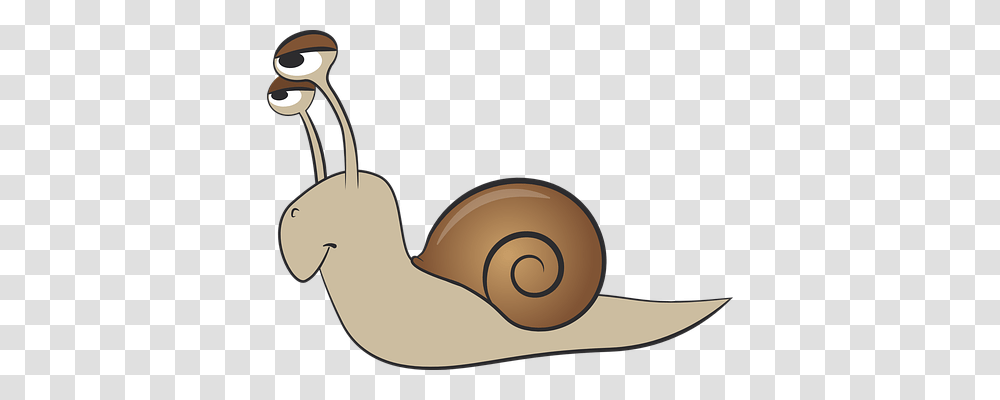 Snail Animals, Invertebrate, Sunglasses, Accessories Transparent Png