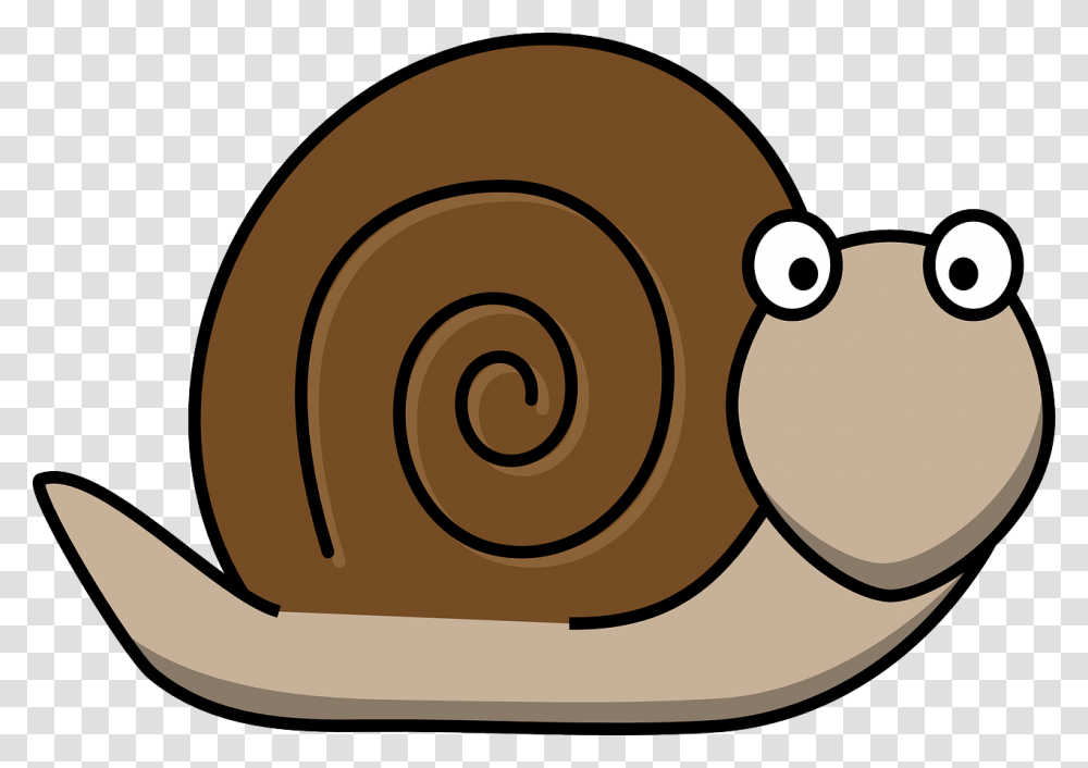 Snail Animal Fun Cartoon Snail, Invertebrate Transparent Png