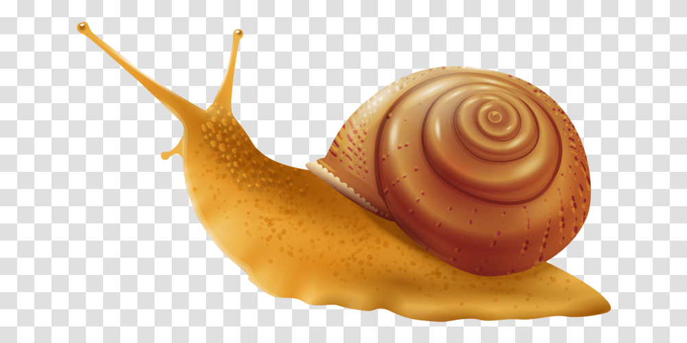 Snail Background Snail Clipart, Banana, Fruit, Plant, Food Transparent Png