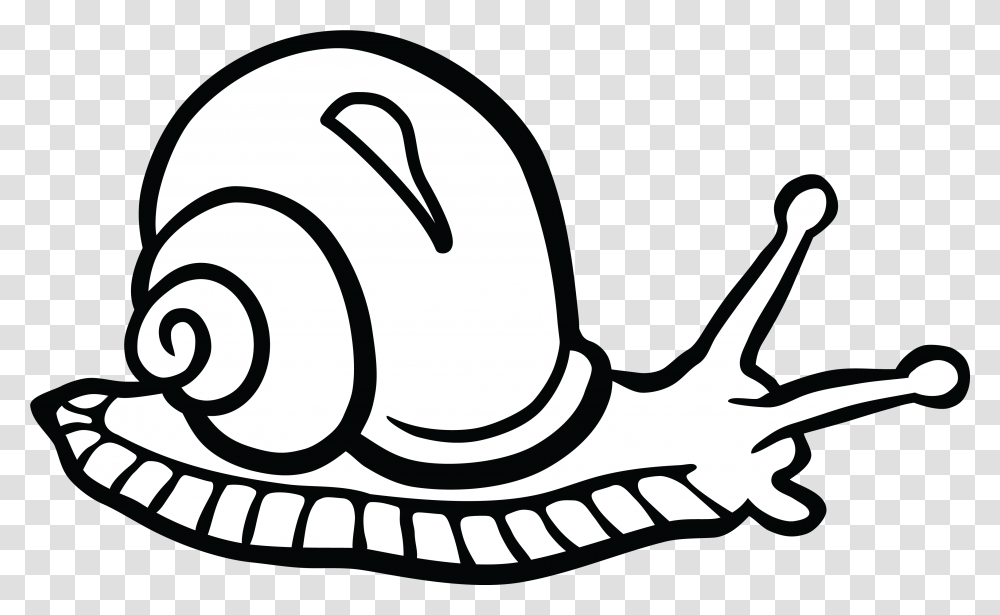 Snail Black And White Free Clipart Of A Snail, Clothing, Apparel, Cowboy Hat Transparent Png