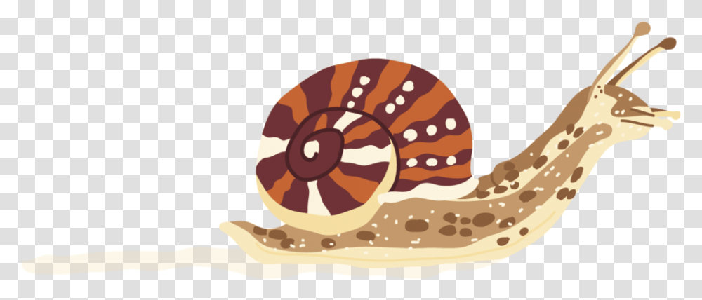 Snail Chambered Nautilus, Bread, Food, Snake, Reptile Transparent Png