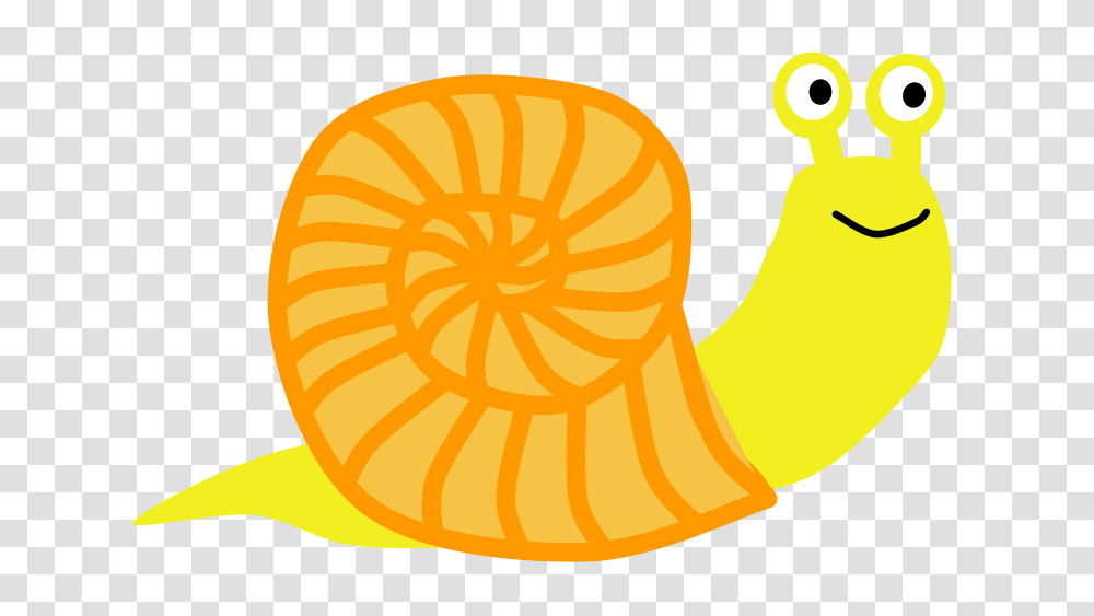 Snail Classroom Clipart Image, Plant, Citrus Fruit, Food, Orange Transparent Png