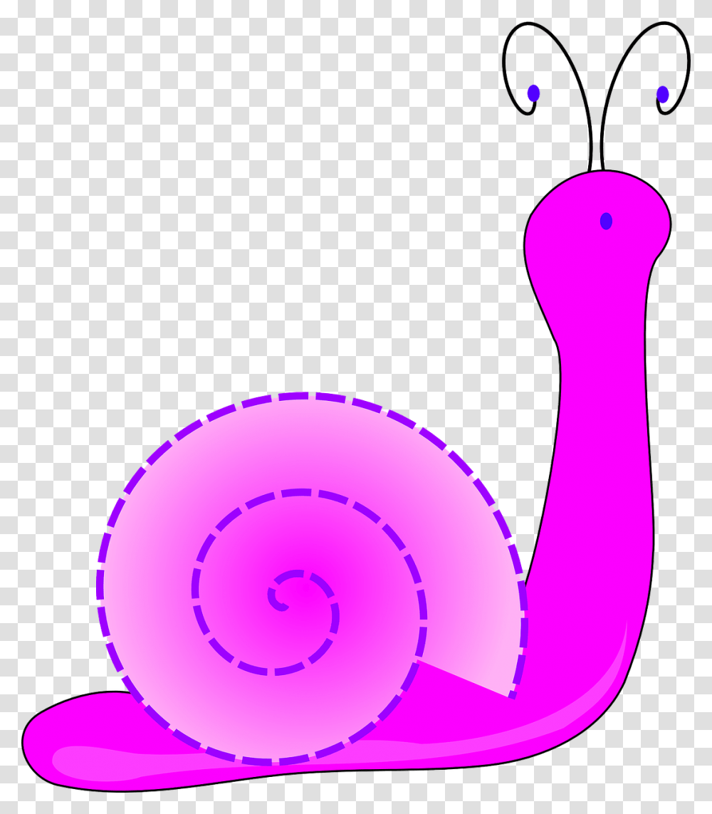 Snail Clip Art, Animal, Bird, Flamingo Transparent Png