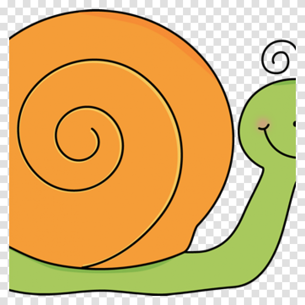 Snail Clip Art Free Clipart Download, Animal, Invertebrate Transparent Png