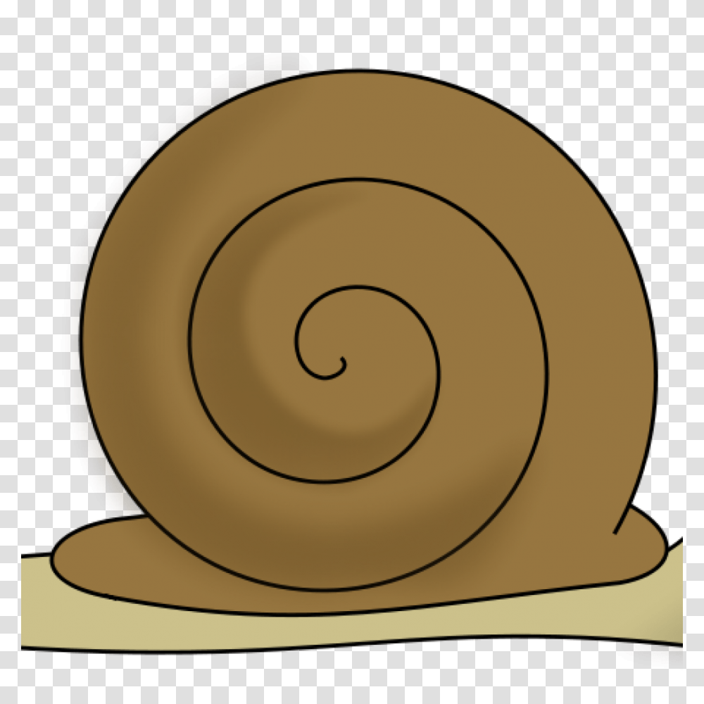 Snail Clip Art Free Clipart Download, Invertebrate, Animal, Lamp Transparent Png