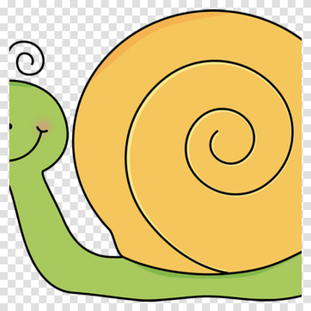 Snail Clip Art Free Clipart Download, Invertebrate, Animal Transparent Png