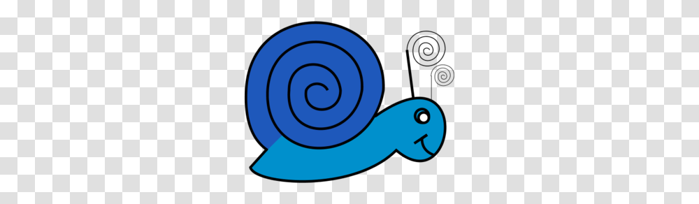 Snail Clip Art Free Vector Image, Animal, Invertebrate, Spiral, Sea Life Transparent Png