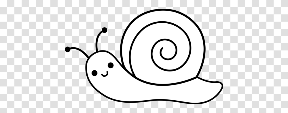 Snail Clip Art, Invertebrate, Animal, Spiral Transparent Png