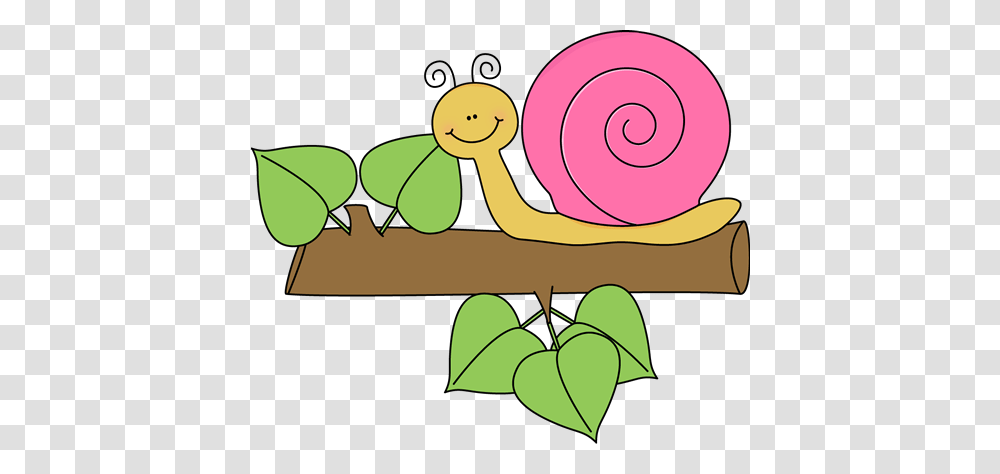 Snail Clip Art, Invertebrate, Animal, Spiral Transparent Png