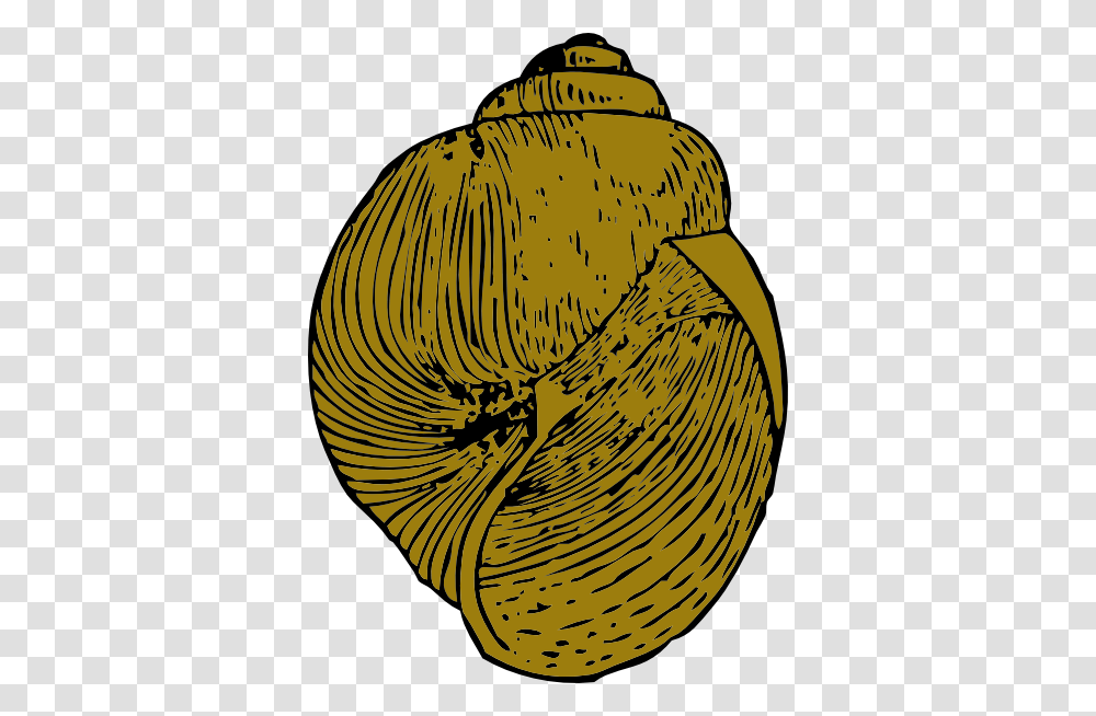 Snail Clipart, Apparel, Banana, Fruit Transparent Png