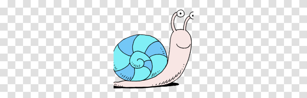 Snail Clipart, Invertebrate, Animal, Soccer Ball, Football Transparent Png