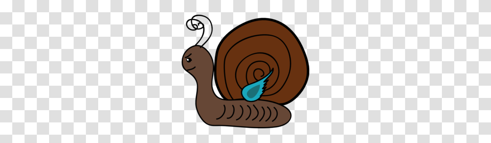 Snail Clipart, Invertebrate, Animal Transparent Png