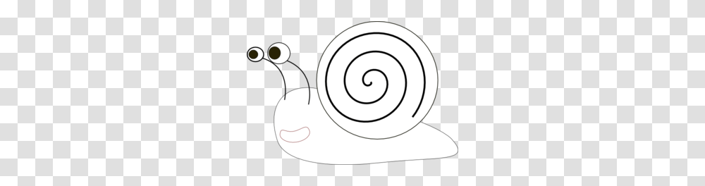 Snail Clipart Outline, Animal, Invertebrate, Spiral, Coil Transparent Png