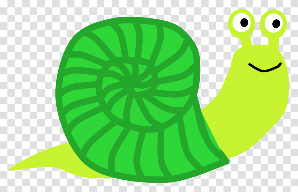 Snail Clipart, Plant, Food, Fruit, Spiral Transparent Png