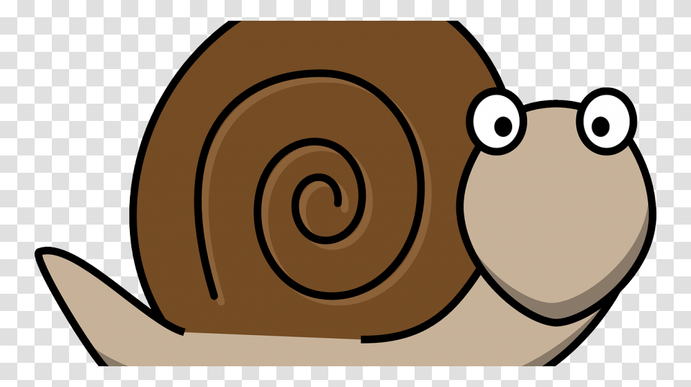 Snail Clipart Snail Mail, Invertebrate, Animal, Clock Tower, Architecture Transparent Png