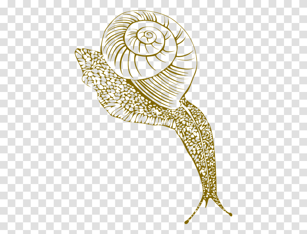 Snail Conch Shell Moist Corner Portable Network Graphics, Apparel, Animal, Spiral Transparent Png