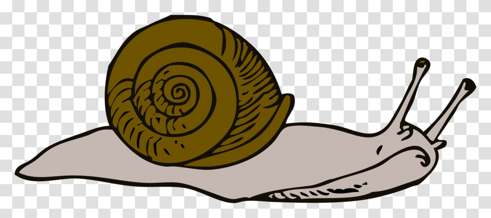 Snail Download Computer Icons Slug Presentation, Invertebrate, Animal Transparent Png