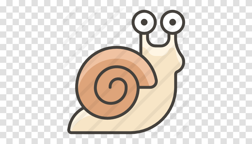 Snail Free Animals Icons Caracol Icono, Invertebrate Transparent Png