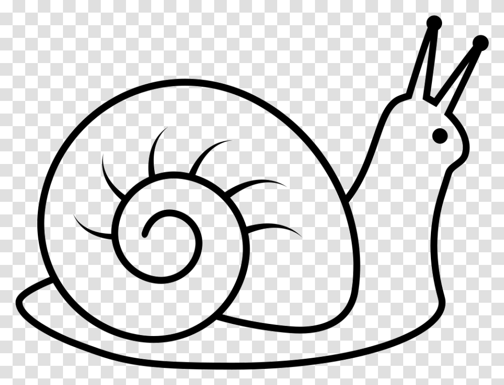 Snail Icon Free Download, Invertebrate, Animal, Spiral Transparent Png