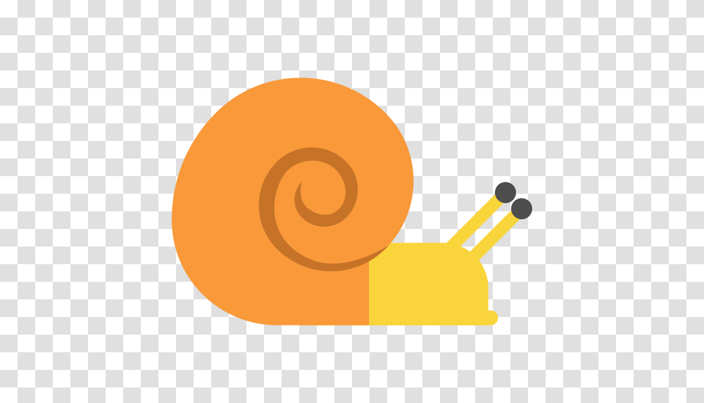 Snail Icon, Invertebrate, Animal, Tennis Ball, Sport Transparent Png