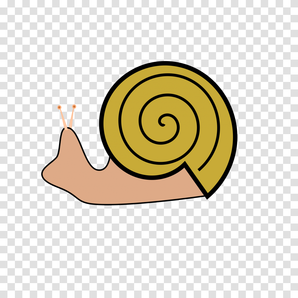 Snail Icons, Invertebrate, Animal, Photography Transparent Png