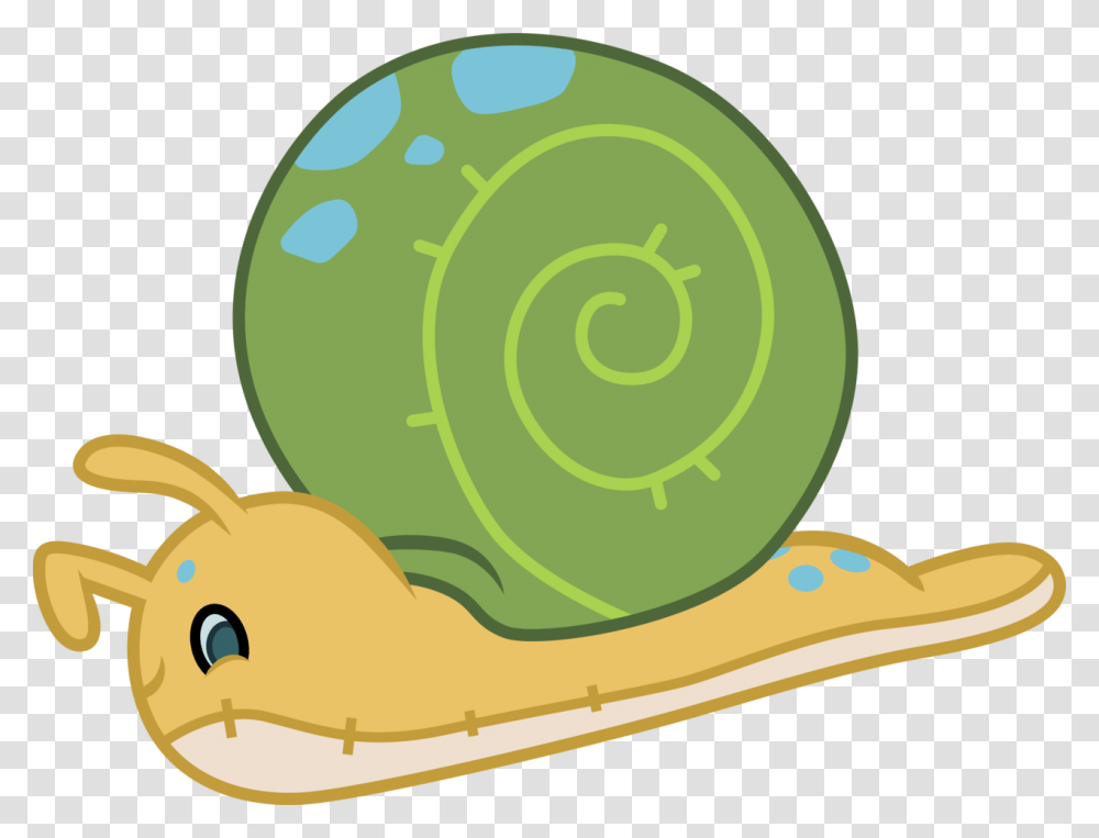 Snail, Invertebrate, Animal Transparent Png