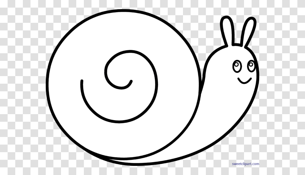 Snail Lineart Clip Art, Spiral, Coil Transparent Png