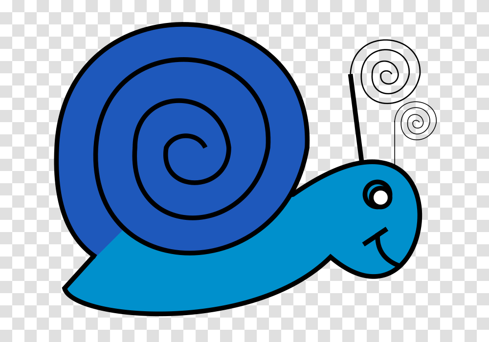 Snail, Nature, Spiral, Coil, Animal Transparent Png