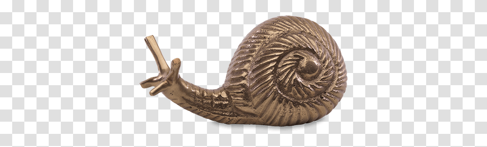 Snail Paper Weight Sea Snail, Bronze, Bird, Animal, Fossil Transparent Png
