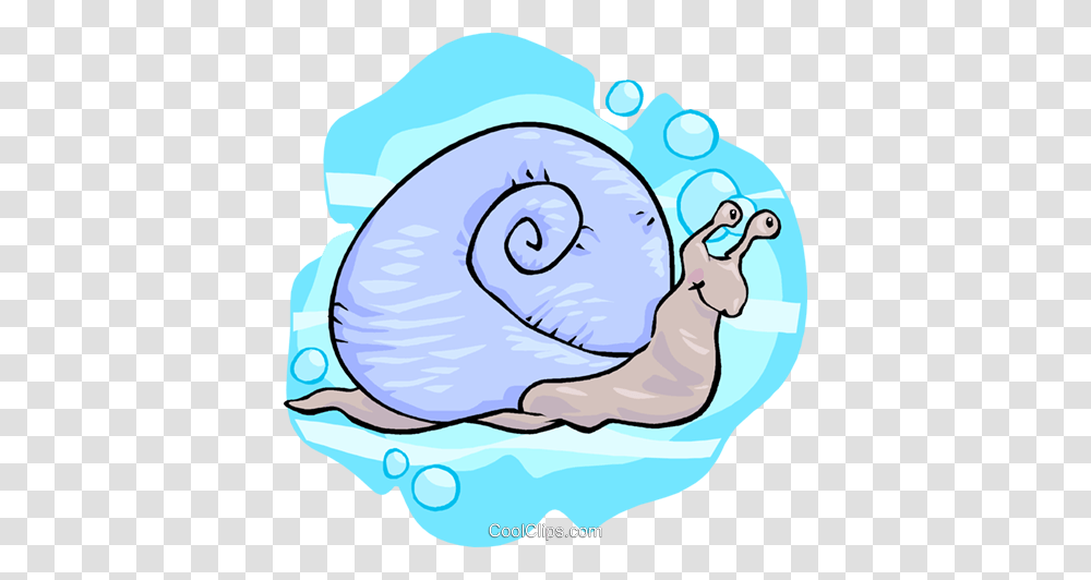 Snail Royalty Free Vector Clip Art Illustration, Invertebrate, Animal, Sea Life, Bird Transparent Png