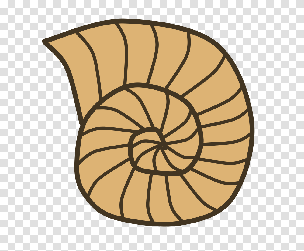 Snail Shell, Animals, Lamp, Food, Plant Transparent Png
