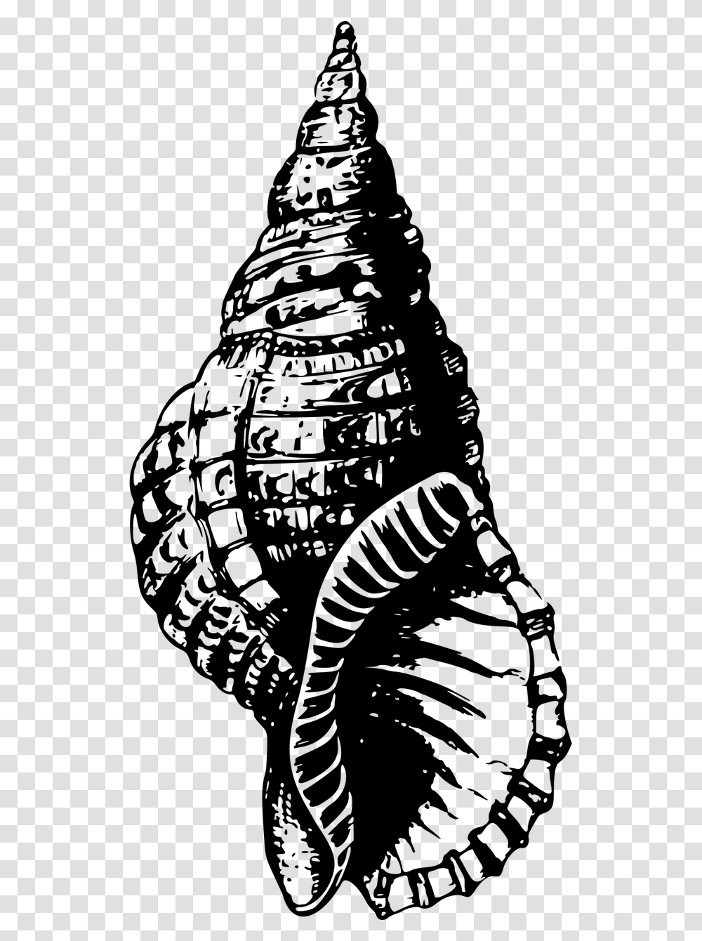 Snail Shell Black And White, Gray, World Of Warcraft Transparent Png