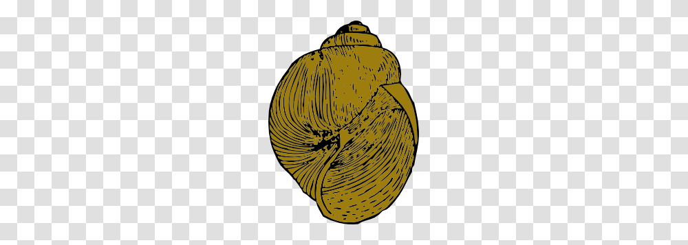 Snail Shell Clip Art For Web, Apparel, Banana, Fruit Transparent Png