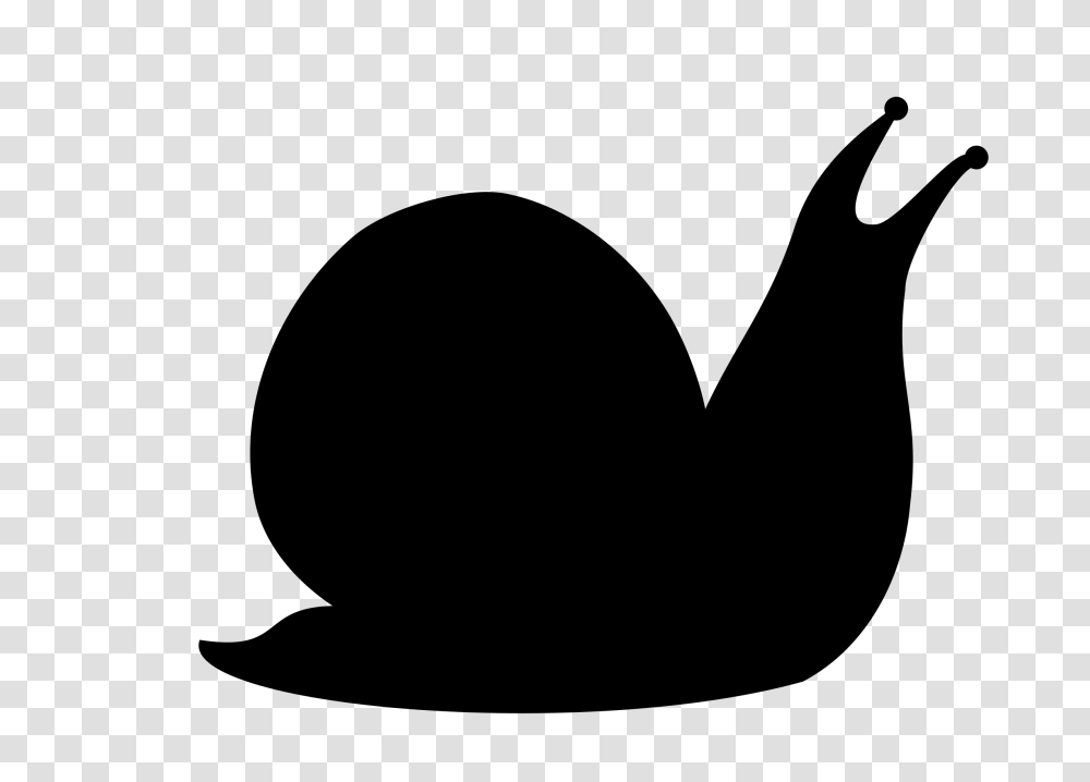 Snail Silhouette, Gray, World Of Warcraft Transparent Png