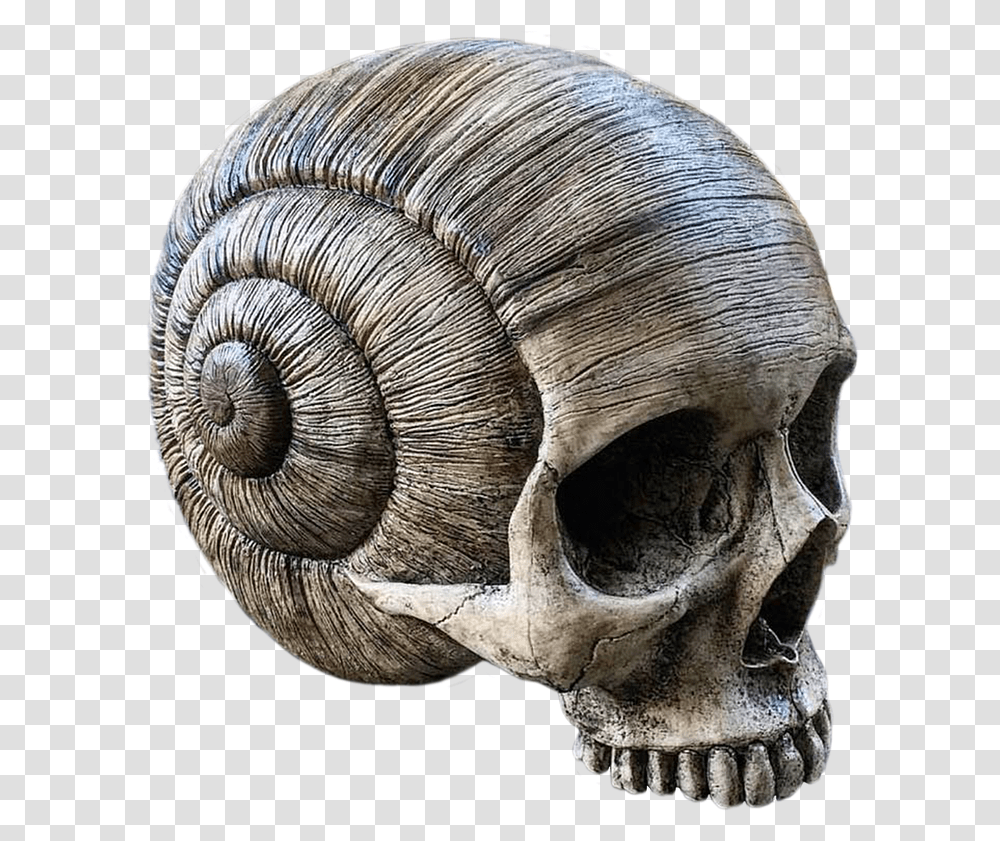 Snail Skull, Snake, Reptile, Animal, Elephant Transparent Png