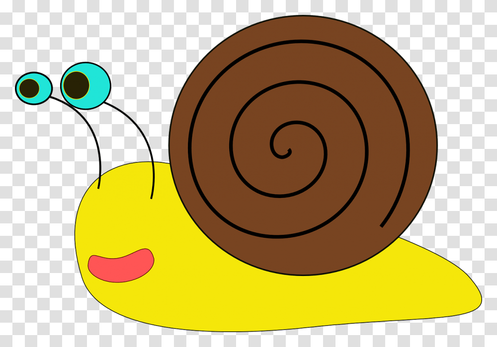 Snail Snail Clip Art, Spiral, Invertebrate, Animal, Coil Transparent Png