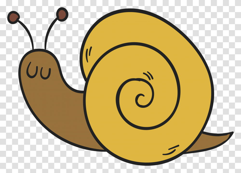 Snail Snail Drawing Background, Invertebrate, Animal, Spiral, Coil Transparent Png