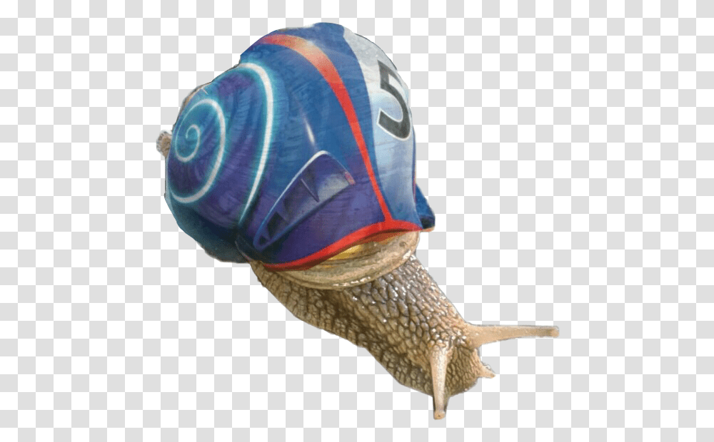 Snail Snailshell Turbo Freetoedit Turbo The Snail, Invertebrate, Animal, Helmet, Clothing Transparent Png