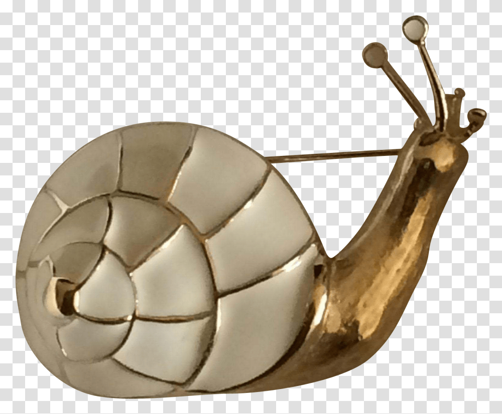 Snail, Soccer Ball, Football, Team Sport, Sports Transparent Png