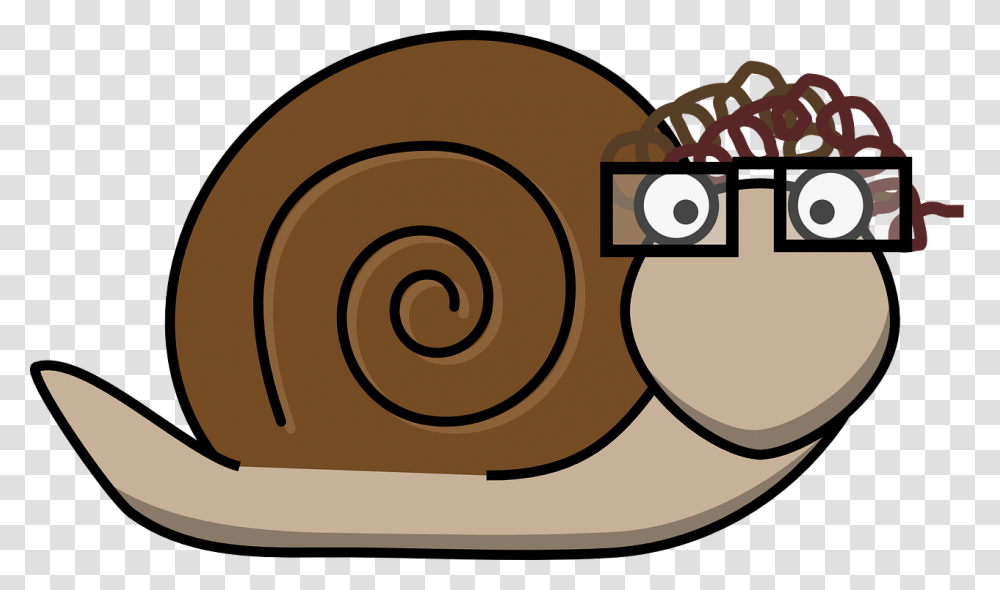 Snail With Glasses, Invertebrate, Animal, Spiral Transparent Png