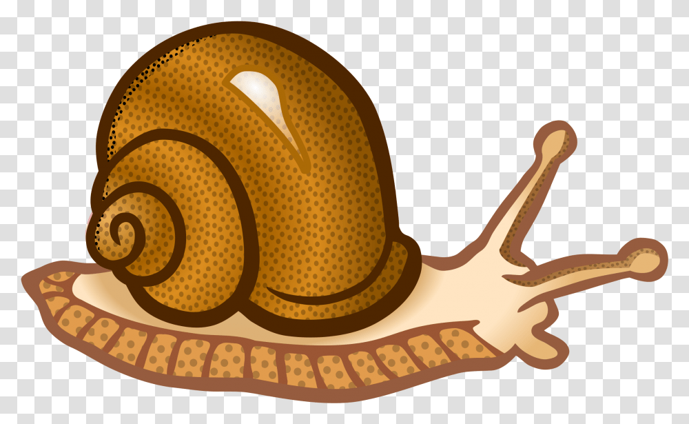 Snails, Animals, Apparel, Cowboy Hat Transparent Png
