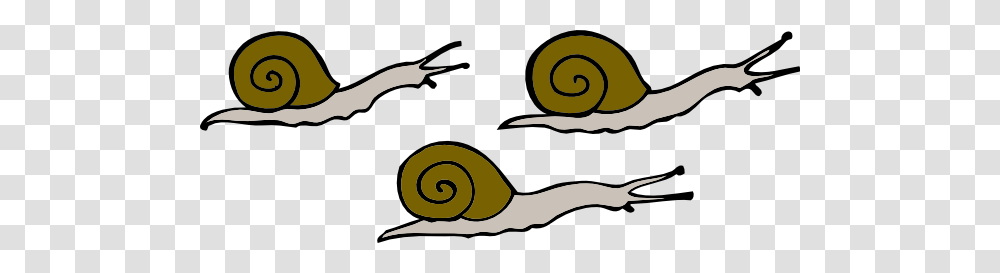 Snails Clip Art Free Vector, Invertebrate, Animal Transparent Png