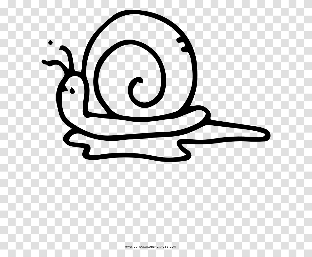 Snails Snail Snail, Gray, World Of Warcraft Transparent Png