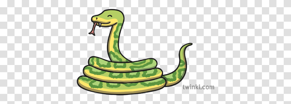 Snake 02 Illustration Twinkl Animal Figure, Reptile, Smoke Pipe, Cobra, Anaconda Transparent Png