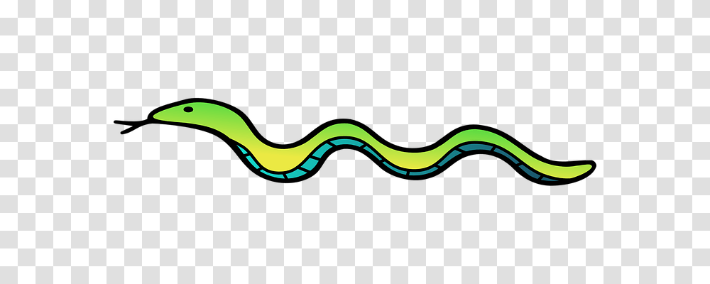 Snake Animals, Reptile, Eel, Fish Transparent Png