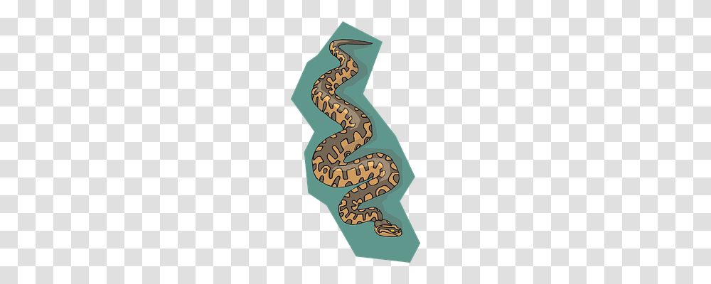 Snake Animal, Reptile, Anaconda, Fish Transparent Png