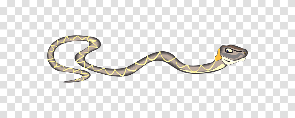 Snake Emotion, Sunglasses, Accessories, Accessory Transparent Png