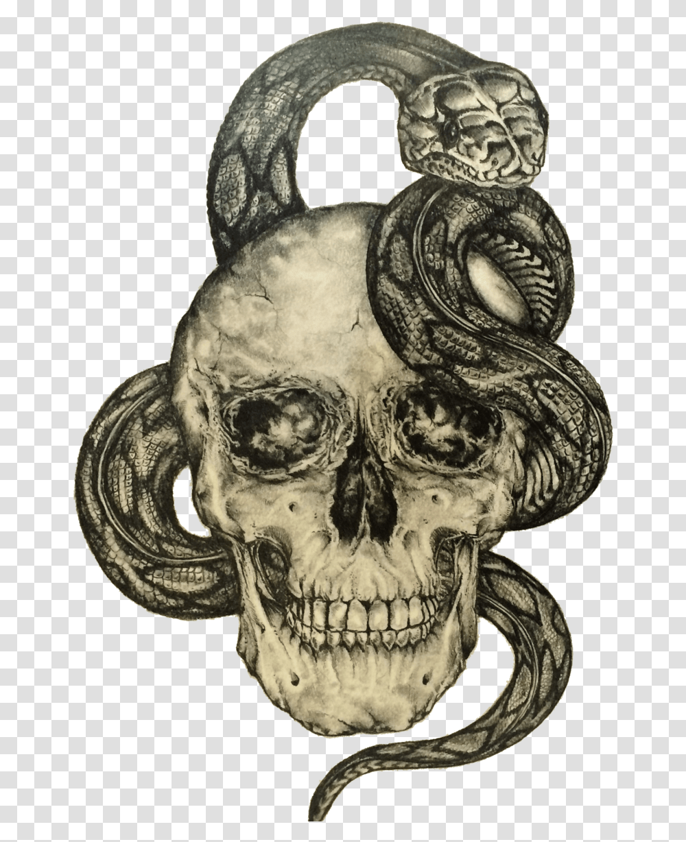 Snake And Skull, Head, Pirate, Alien, Drawing Transparent Png