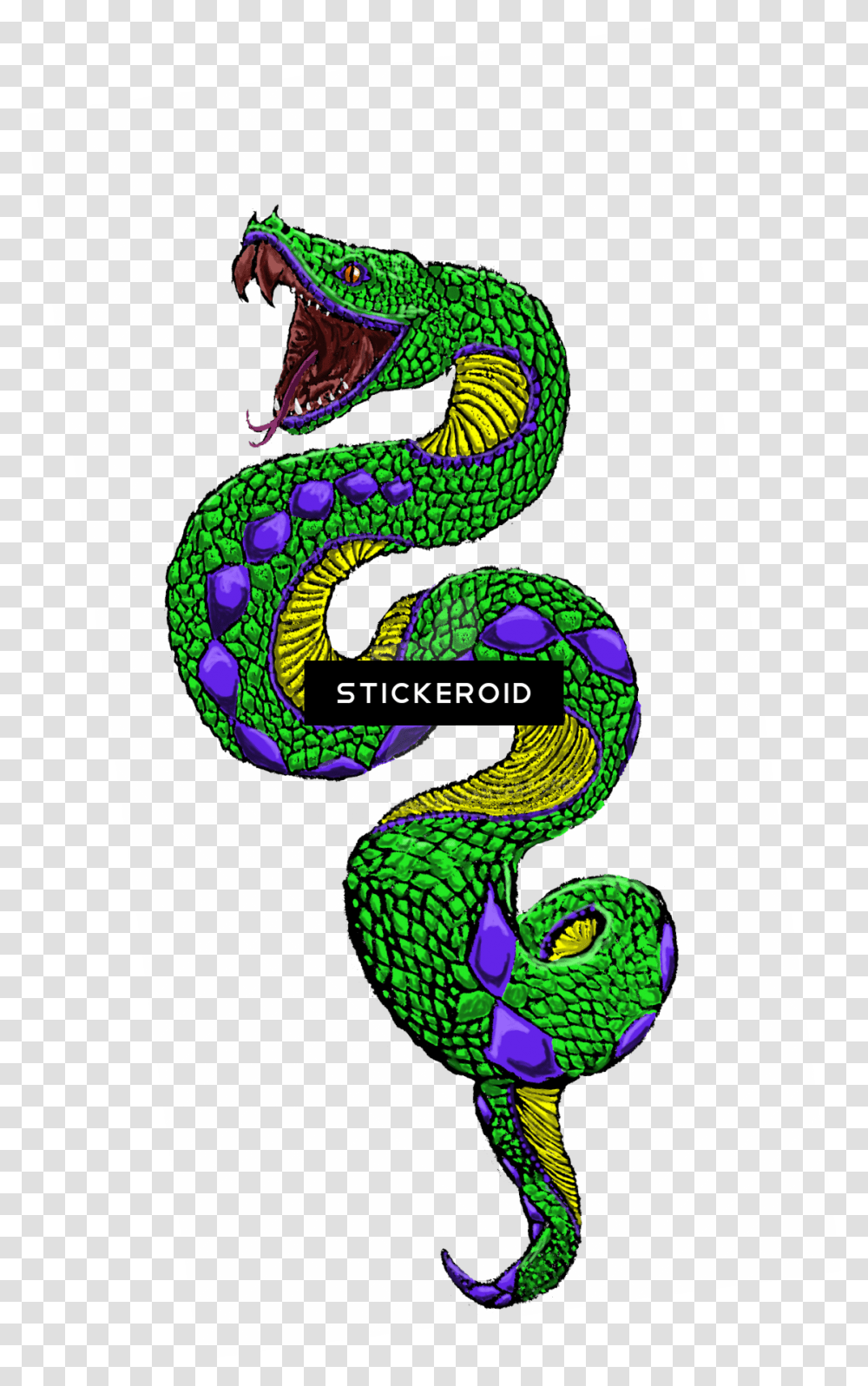 Snake, Animal, Skin, Dragon, Bird Transparent Png